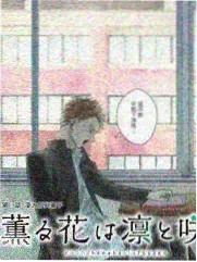 慢综艺与生活纪实资讯配图占位